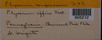 Image Associated With the Occurence